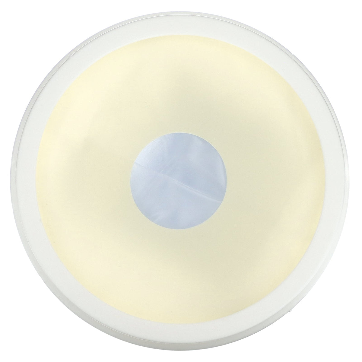 Carex, Cast Protector, Small Arm, 1 Cast Protector