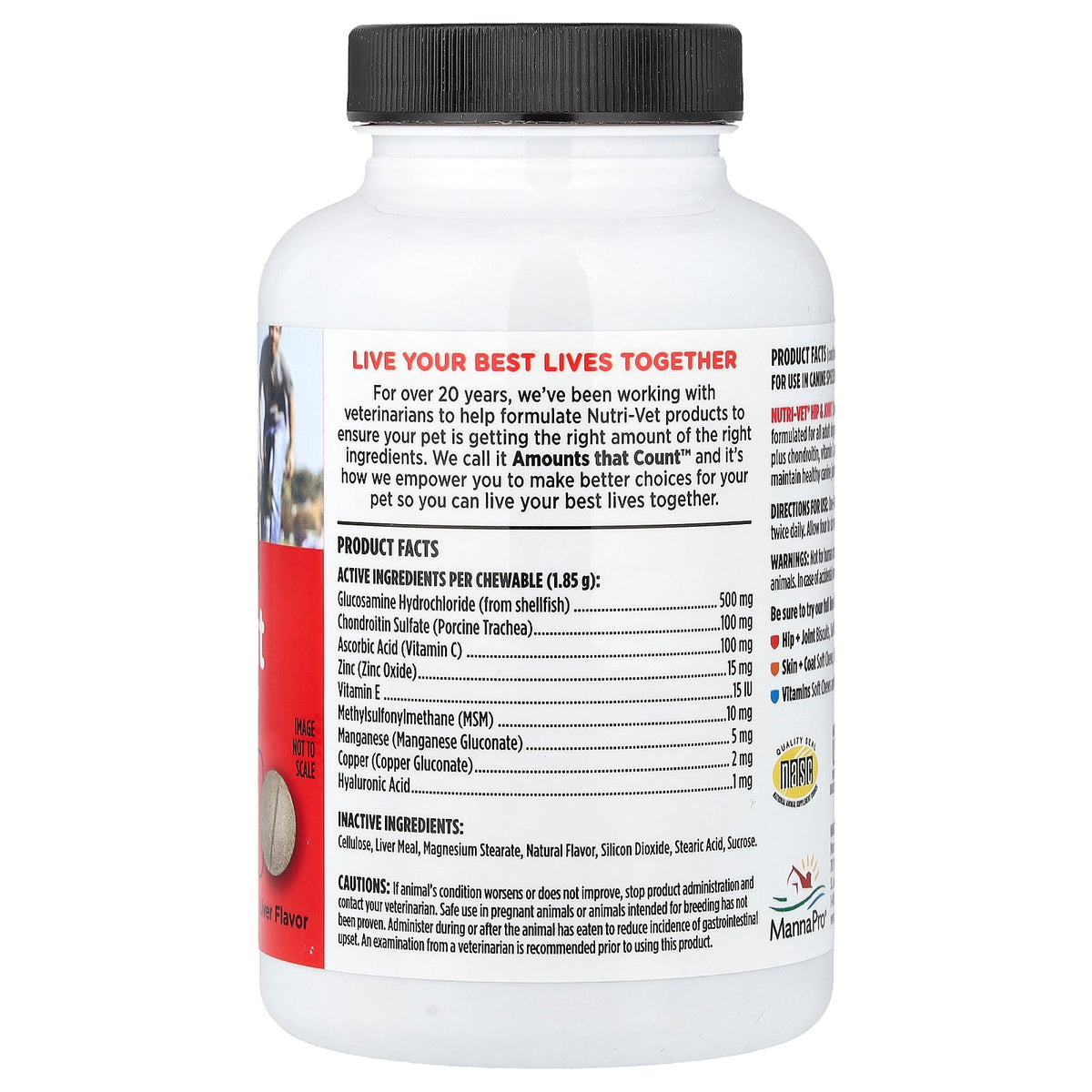 Nutri-Vet, Hip & Joint, Regular Strength, For Dogs, Liver, 75 Chewables