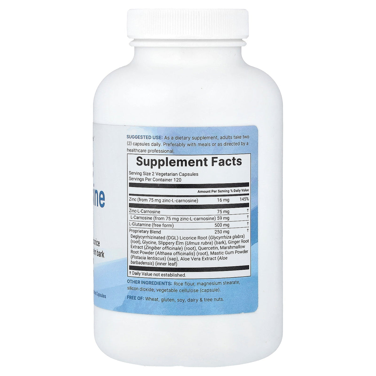 Micro Ingredients, Zinc Carnosine, 240 Vegetarian Capsules