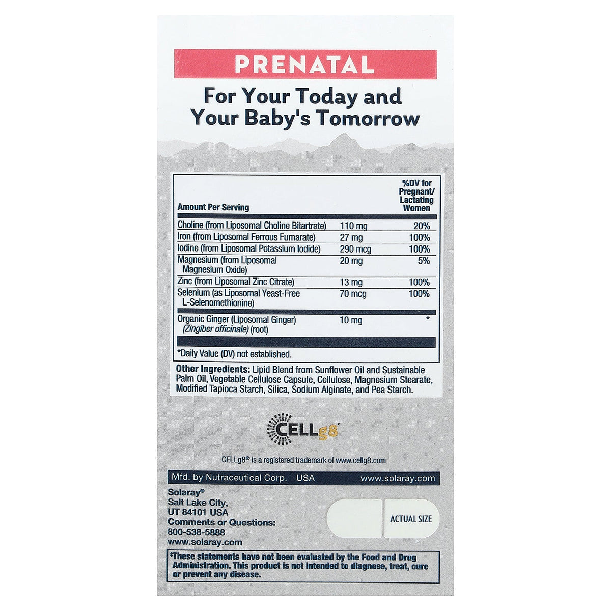 Solaray, High Potency Prenatal Liposomal Multivitamin, 60 VegCaps