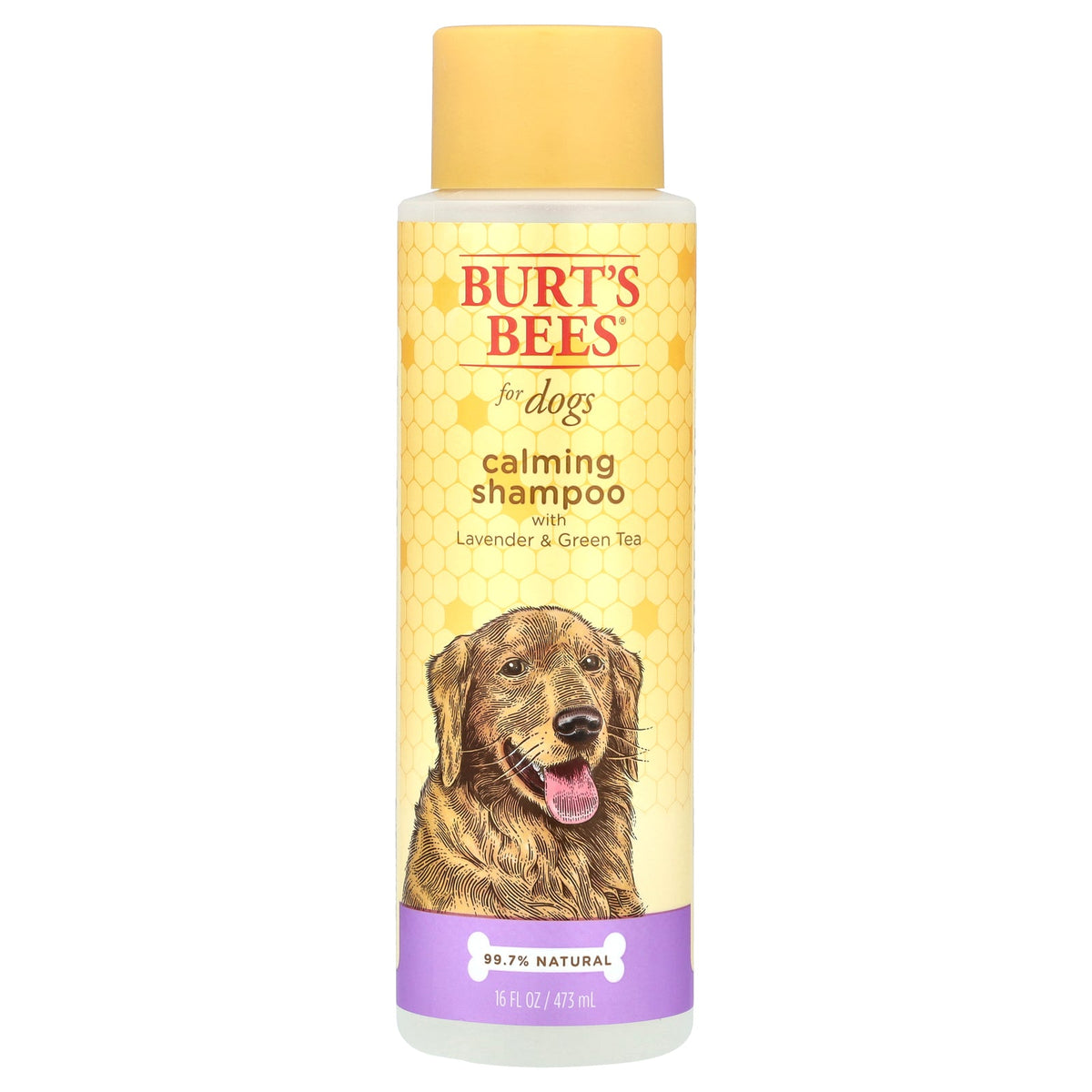 Burt's Bees, Calming Shampoo For Dogs with Lavender & Green Tea, 16 fl oz (473 ml)