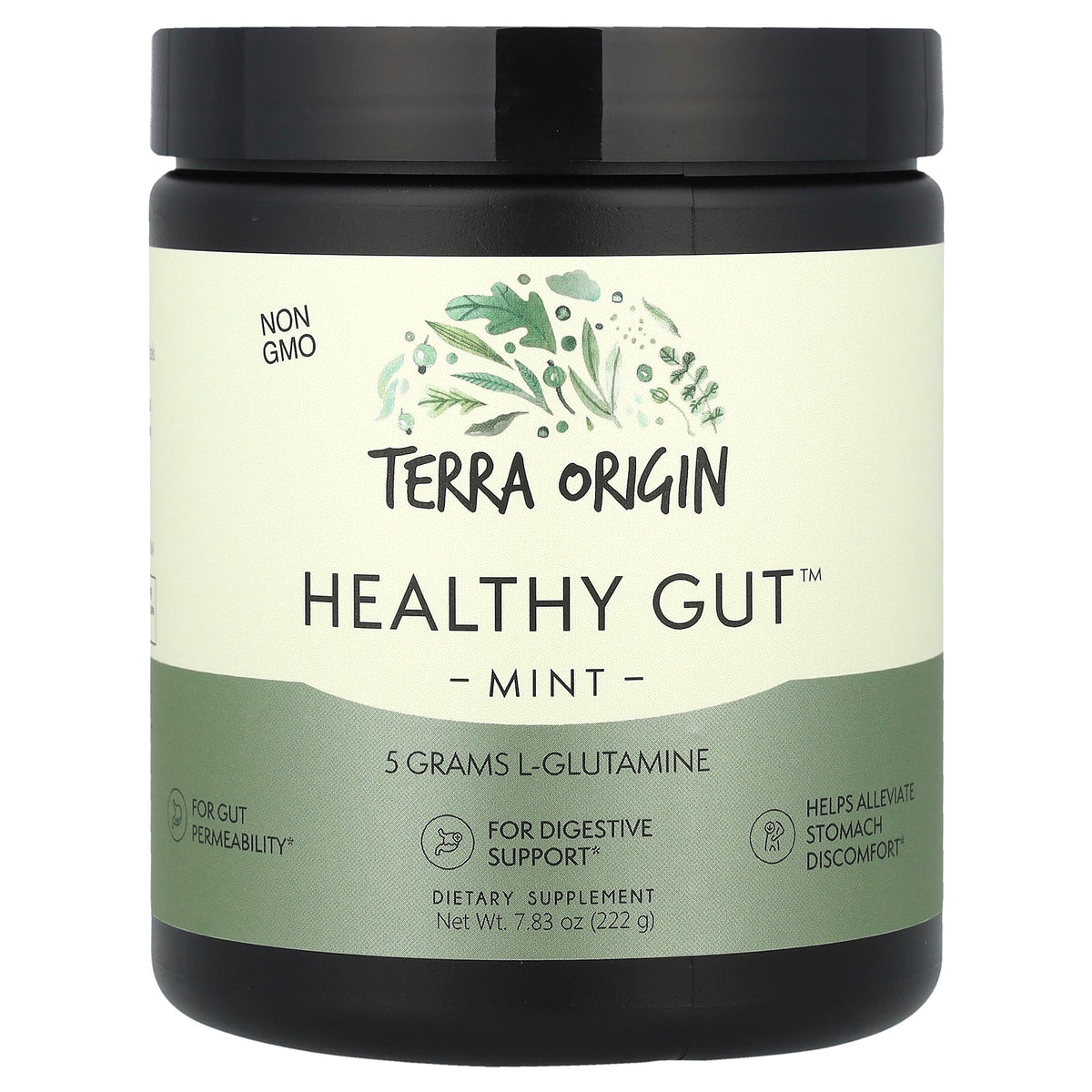 Terra Origin, Healthy Gut™, Mint, 7.83 oz (222 g)