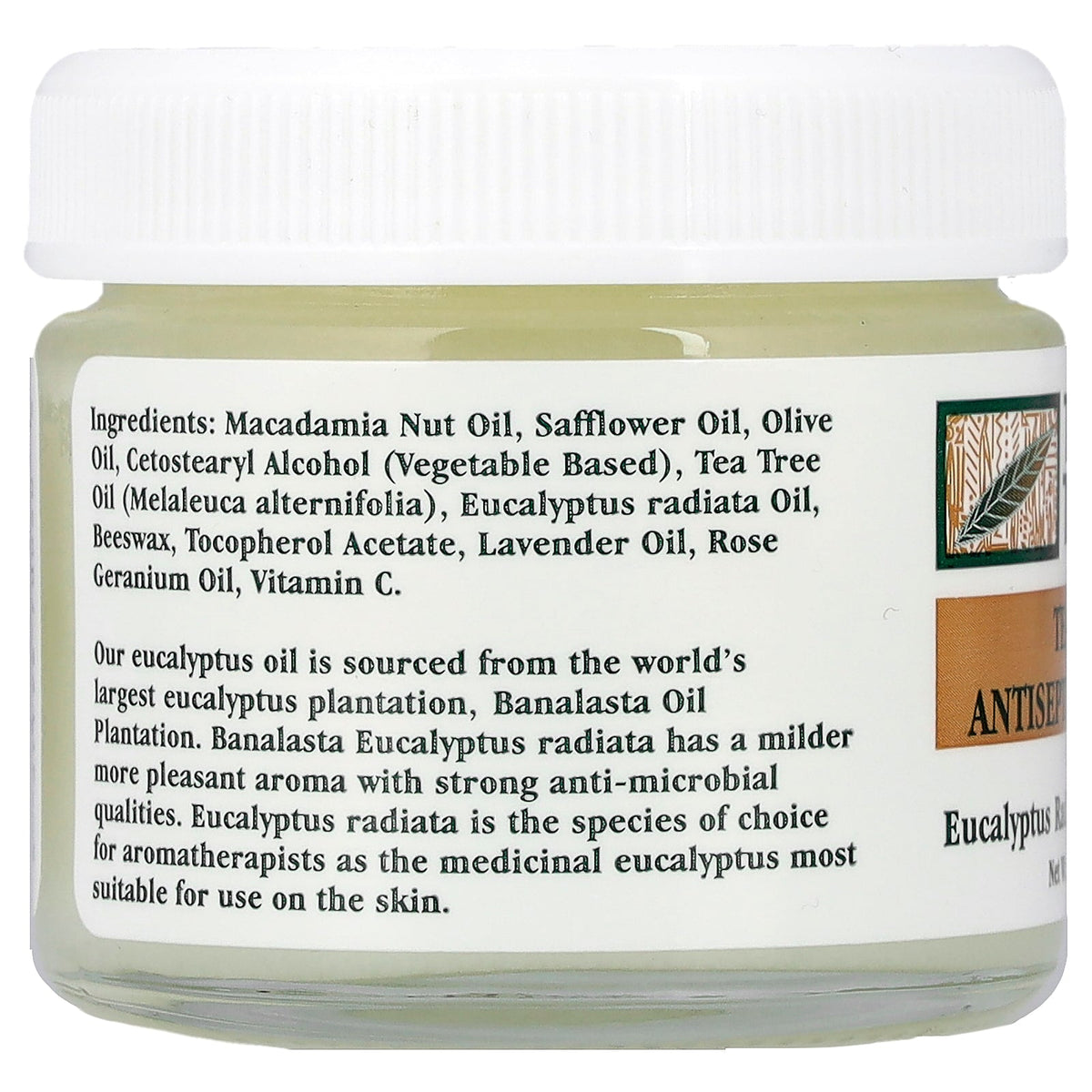 Tea Tree Therapy, Tea Tree Antiseptic Ointment, 2 oz (57 g)