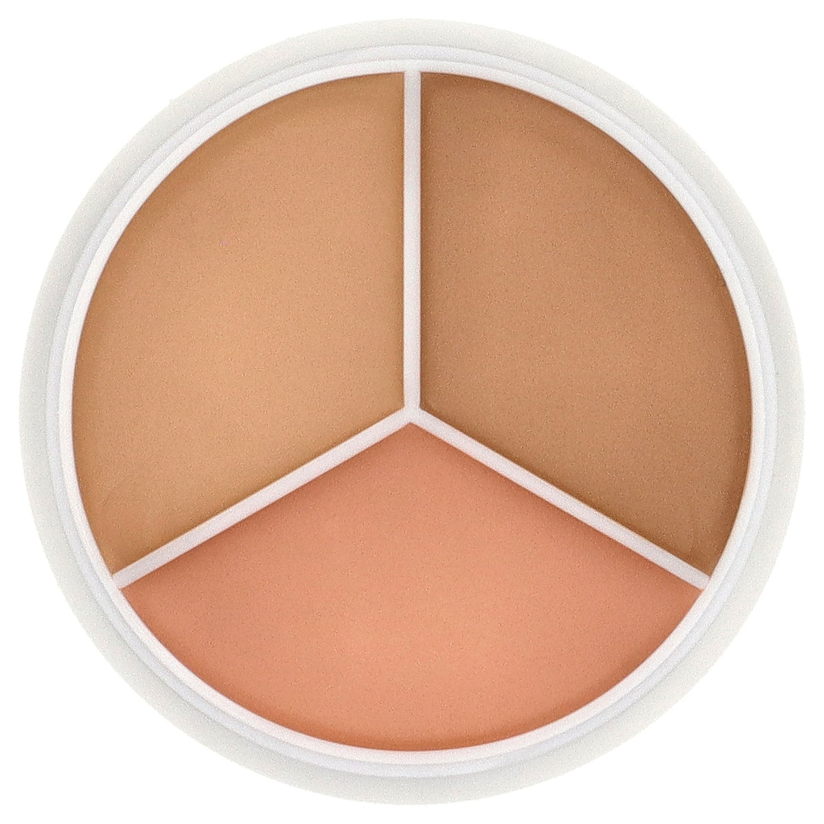 TFIT, Cover Up Pro Concealer, 02 Warm, 0.52 oz (15 g)