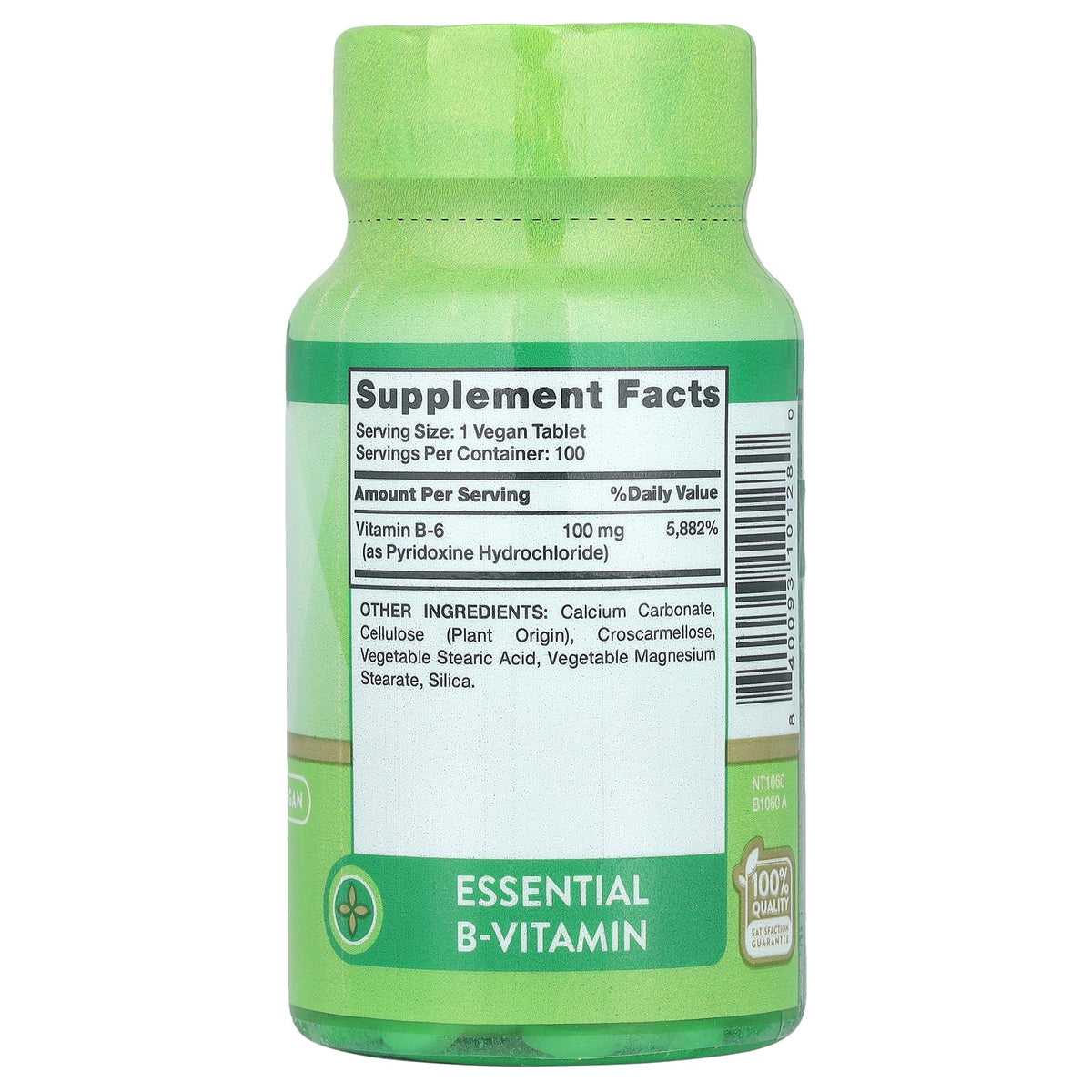 Nature's Truth, Vitamin B-6, 100 mg, 100 Tablets