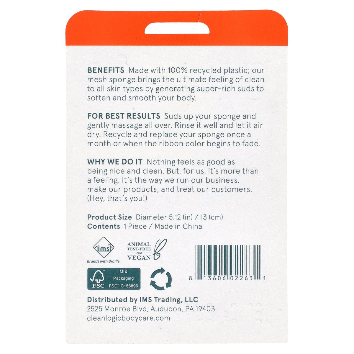Cleanlogic, Sustainable, Recycled Mesh Sponge, 1 Count