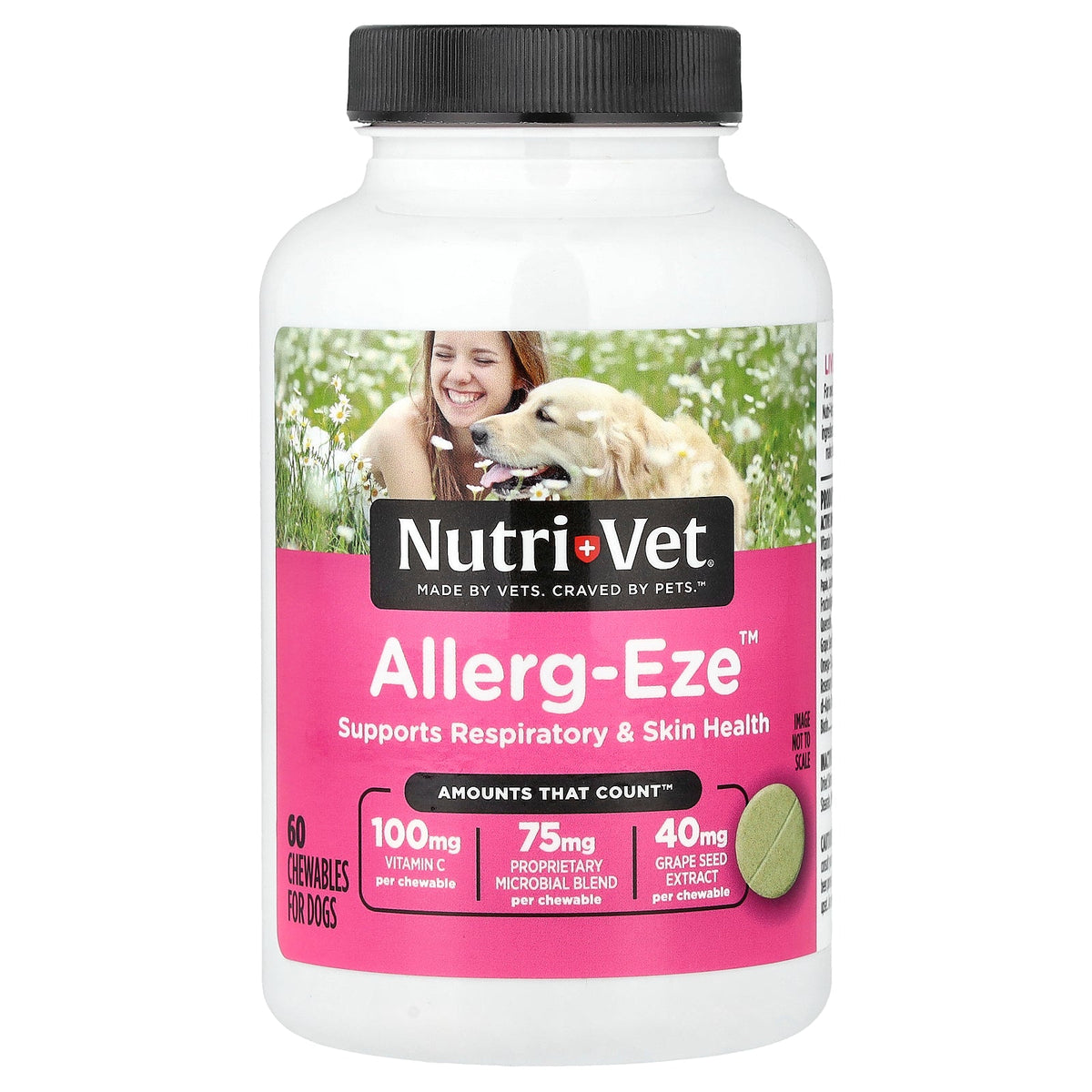 Nutri-Vet, Allerg-Eze™, For Dogs, 60 Chewables