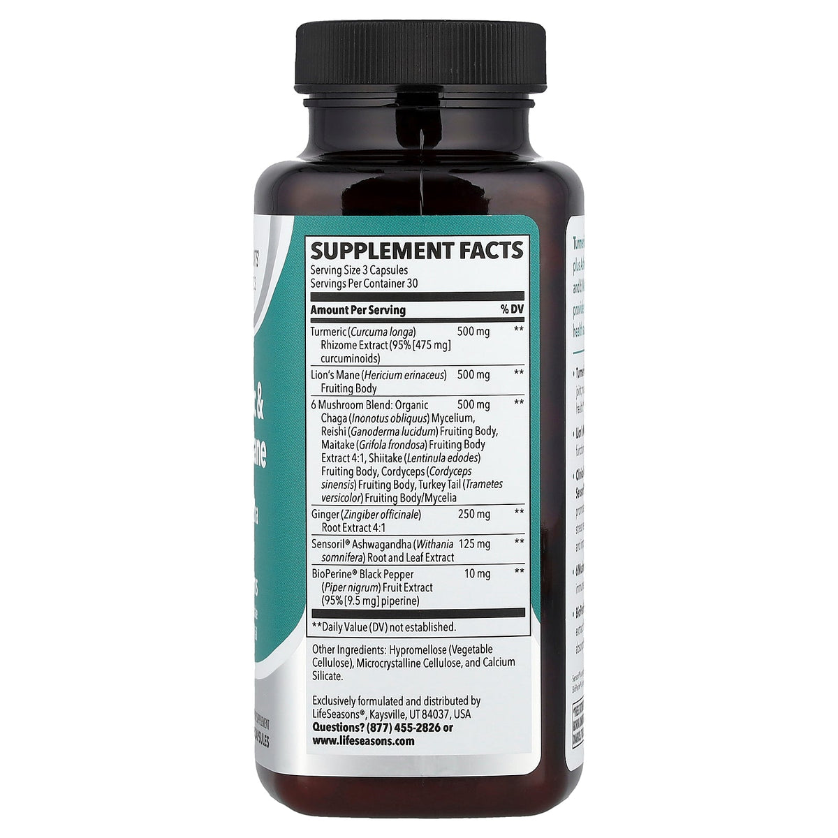 LifeSeasons, Turmeric & Lion's Mane, 90 Veg Capsules