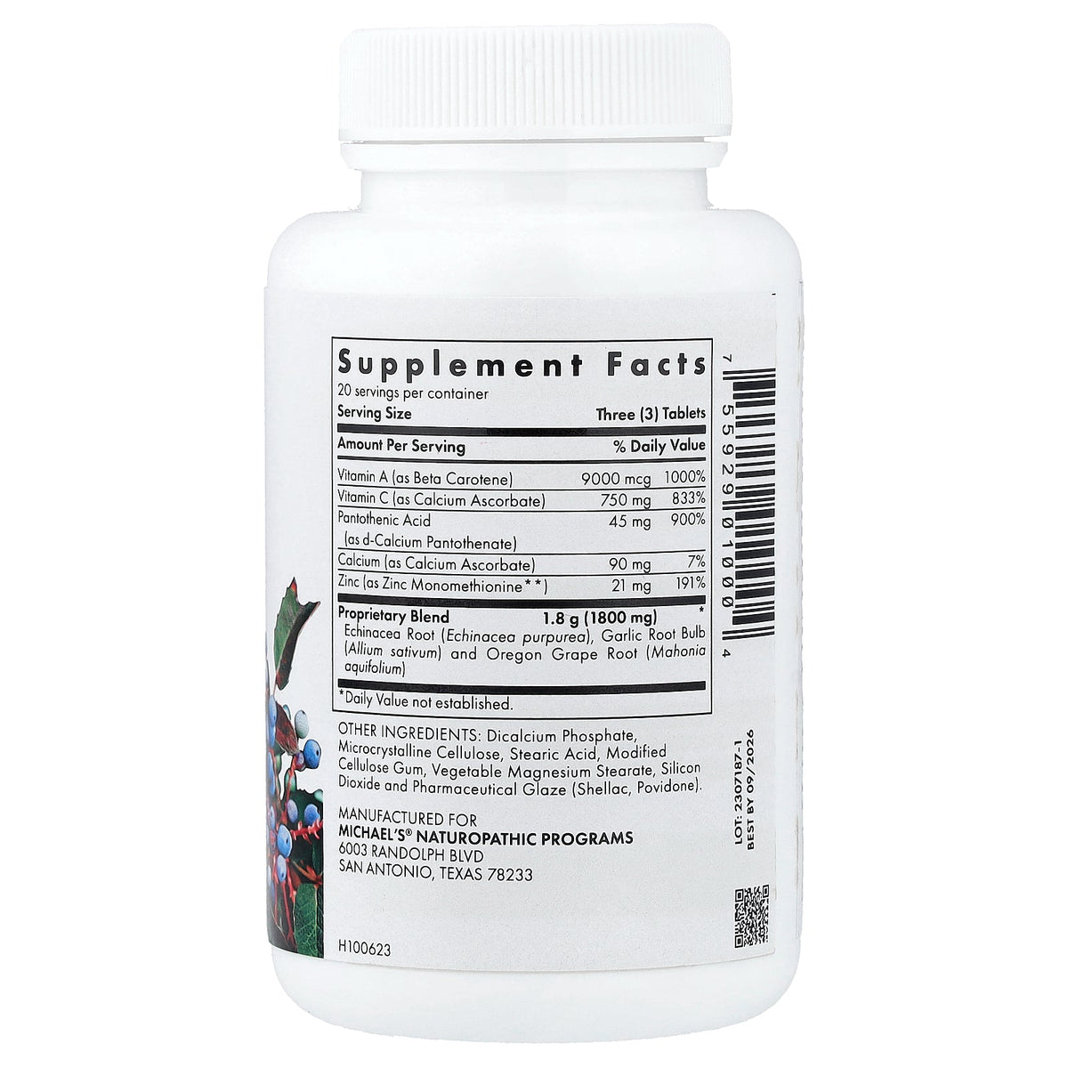 Michael's Health, Quick Immune Response™, 60 Vegetarian Tablets