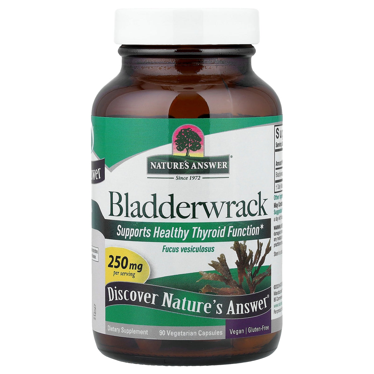 Nature's Answer, Bladderwrack, 250 mg, 90 Vegetarian Capsules
