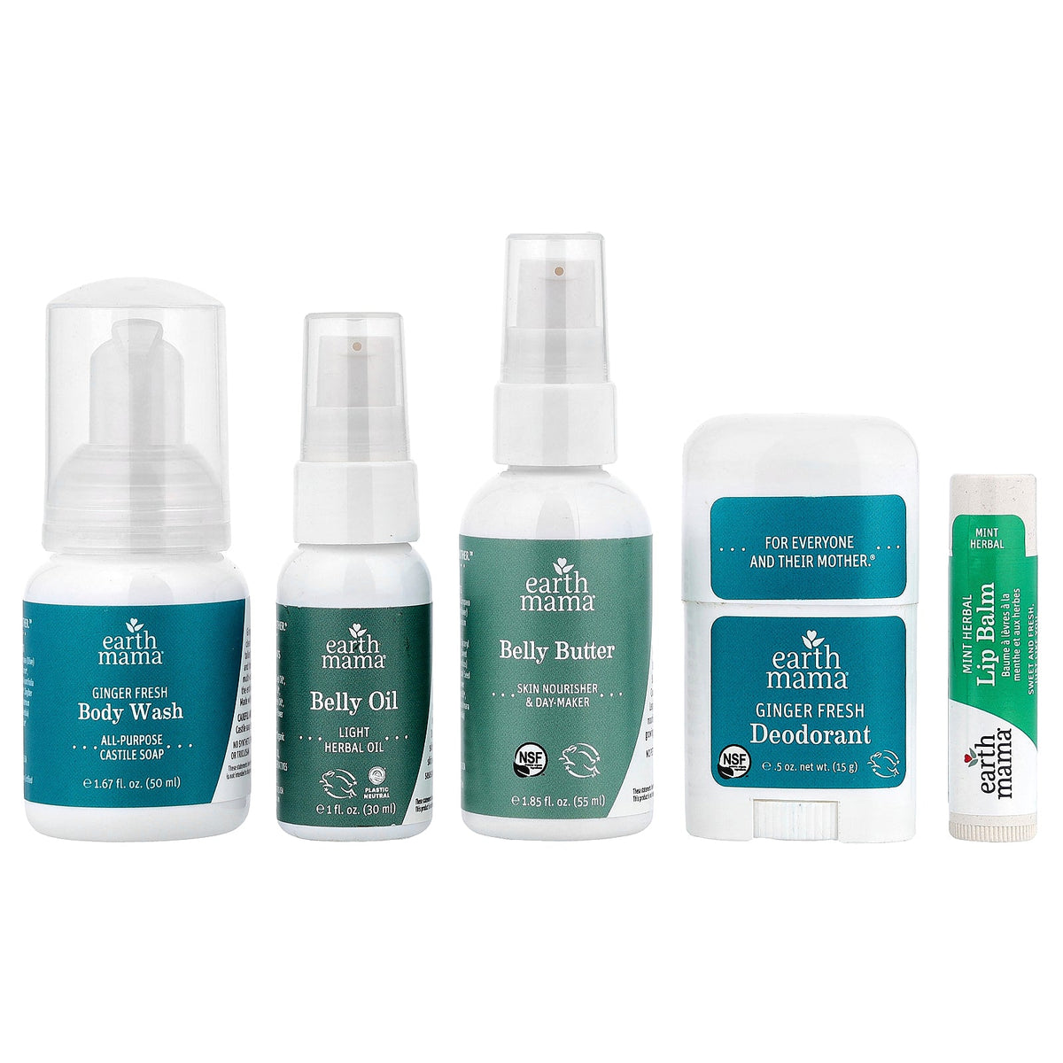 Earth Mama, A Little Something for Mama-To-Be, 5 Piece Kit
